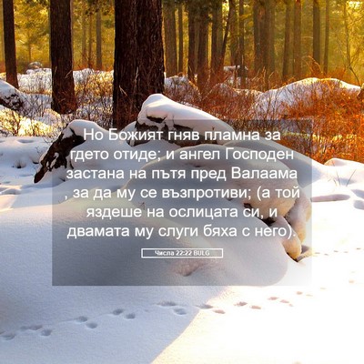 Picture 05 - Числа 22:22 BULG - Но Божият гняв пламна за - Bible Verse Picture
