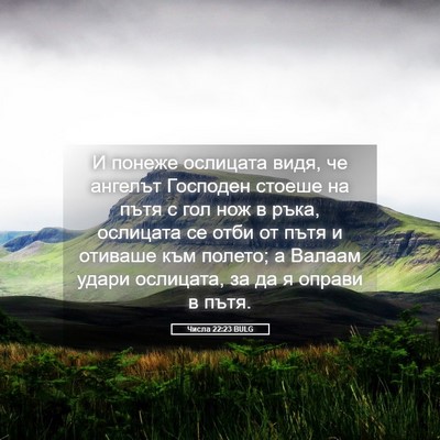 Picture 05 - Числа 22:23 BULG - И понеже ослицата видя, че - Bible Verse Picture