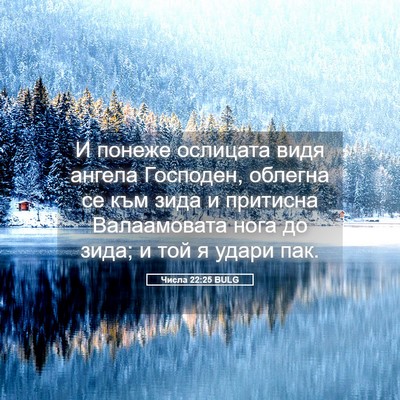 Picture 05 - Числа 22:25 BULG - И понеже ослицата видя - Bible Verse Picture
