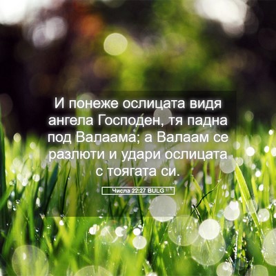 Picture 05 - Числа 22:27 BULG - И понеже ослицата видя - Bible Verse Picture