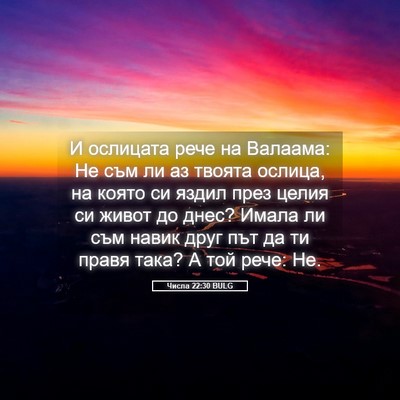 Picture 05 - Числа 22:30 BULG - И ослицата рече на Валаама: - Bible Verse Picture