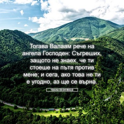Picture 05 - Числа 22:34 BULG - Тогава Валаам рече на - Bible Verse Picture