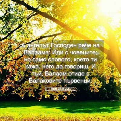 Picture 05 - Числа 22:35 BULG - А ангелът Господен рече на - Bible Verse Picture