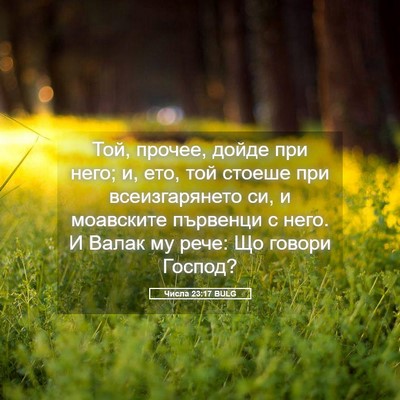 Picture 05 - Числа 23:17 BULG - Той, прочее, дойде при него; - Bible Verse Picture