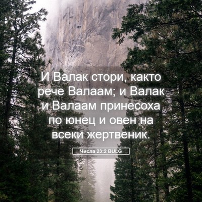 Picture 05 - Числа 23:2 BULG - И Валак стори, както рече - Bible Verse Picture