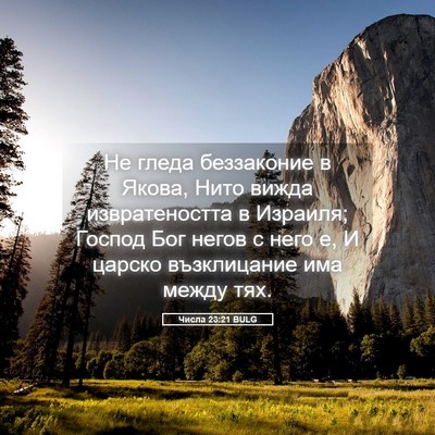 Picture 05 - Числа 23:21 BULG - Не гледа беззаконие в - Bible Verse Picture