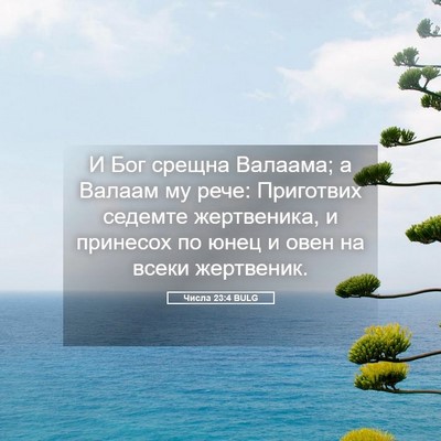 Picture 05 - Числа 23:4 BULG - И Бог срещна Валаама; а - Bible Verse Picture