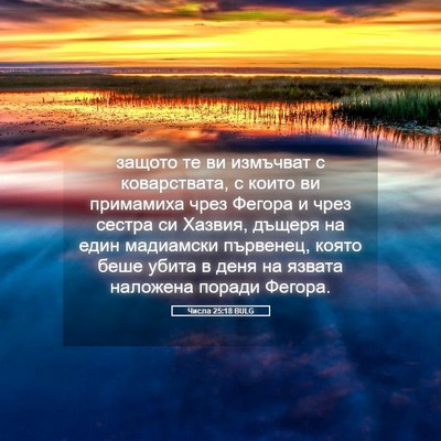 Picture 05 - Числа 25:18 BULG - защото те ви измъчват с - Bible Verse Picture