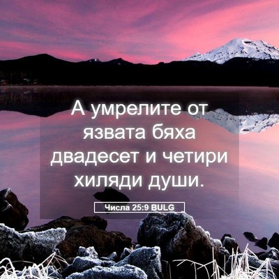 Picture 05 - Числа 25:9 BULG - А умрелите от язвата бяха - Bible Verse Picture