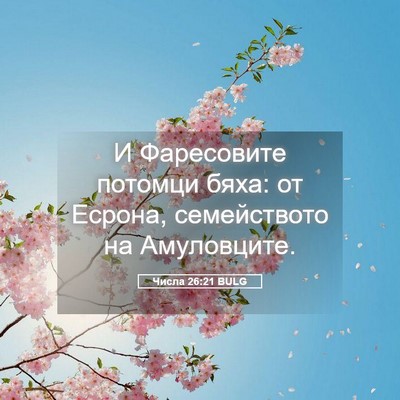 Picture 05 - Числа 26:21 BULG - И Фаресовите потомци бяха: - Bible Verse Picture
