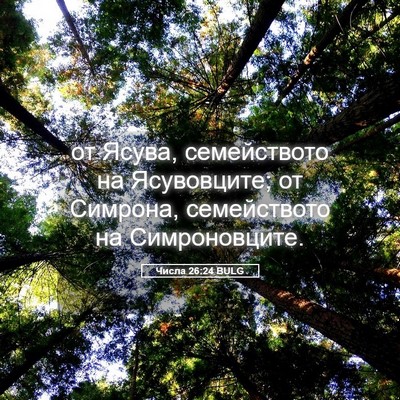 Picture 05 - Числа 26:24 BULG - от Ясува, семейството на - Bible Verse Picture