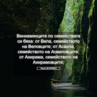 Picture 05 - Числа 26:38 BULG - Вениаминците по - Bible Verse Picture