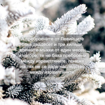 Picture 05 - Числа 26:62 BULG - А преброените от Левийците - Bible Verse Picture