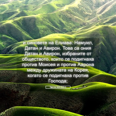 Picture 05 - Числа 26:9 BULG - и синовете на Елиава: - Bible Verse Picture