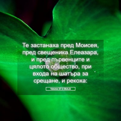 Picture 05 - Числа 27:2 BULG - Те застанаха пред Моисея, - Bible Verse Picture