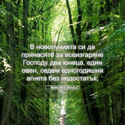 Picture 05 - Числа 28:11 BULG - В новолунията си да - Bible Verse Picture