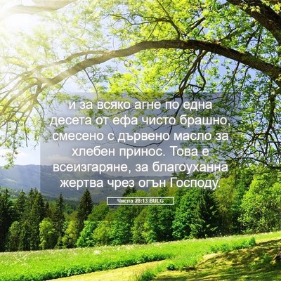 Picture 05 - Числа 28:13 BULG - и за всяко агне по една - Bible Verse Picture