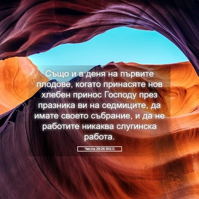 Picture 05 - Числа 28:26 BULG - Също и в деня на първите - Bible Verse Picture
