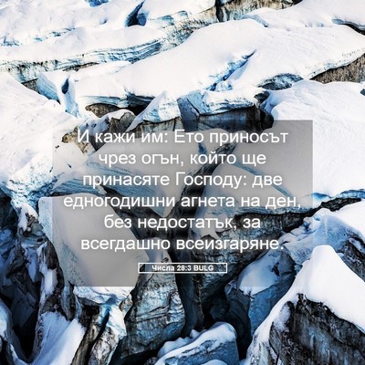 Picture 05 - Числа 28:3 BULG - И кажи им: Ето приносът - Bible Verse Picture