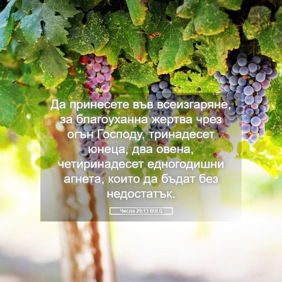Picture 05 - Числа 29:13 BULG - Да принесете във - Bible Verse Picture