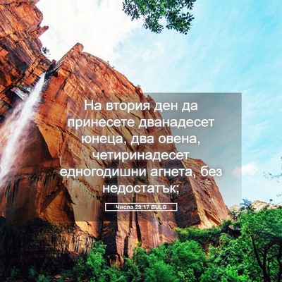 Picture 05 - Числа 29:17 BULG - На втория ден да принесете - Bible Verse Picture