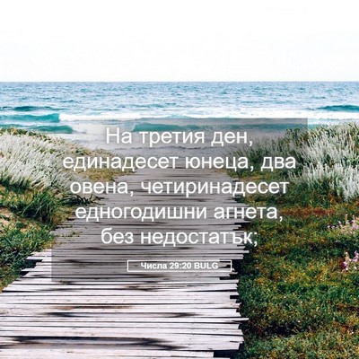 Picture 05 - Числа 29:20 BULG - На третия ден, единадесет - Bible Verse Picture