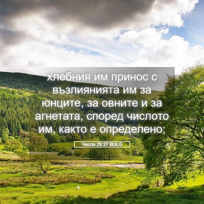 Picture 05 - Числа 29:27 BULG - хлебния им принос с - Bible Verse Picture