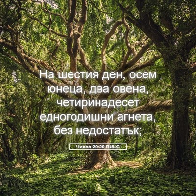 Picture 05 - Числа 29:29 BULG - На шестия ден, осем юнеца, - Bible Verse Picture