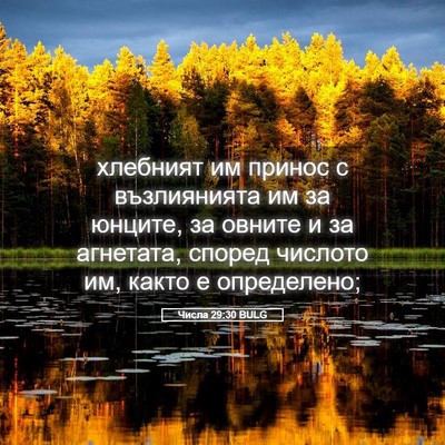 Picture 05 - Числа 29:30 BULG - хлебният им принос с - Bible Verse Picture
