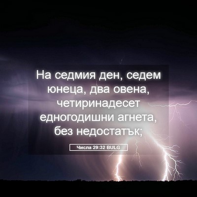Picture 05 - Числа 29:32 BULG - На седмия ден, седем юнеца, - Bible Verse Picture
