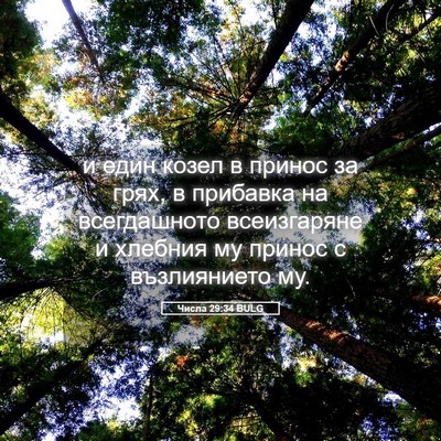 Picture 05 - Числа 29:34 BULG - и един козел в принос за - Bible Verse Picture