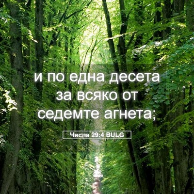 Picture 05 - Числа 29:4 BULG - и по една десета за всяко - Bible Verse Picture