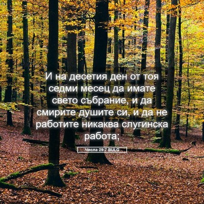 Picture 05 - Числа 29:7 BULG - И на десетия ден от тоя - Bible Verse Picture