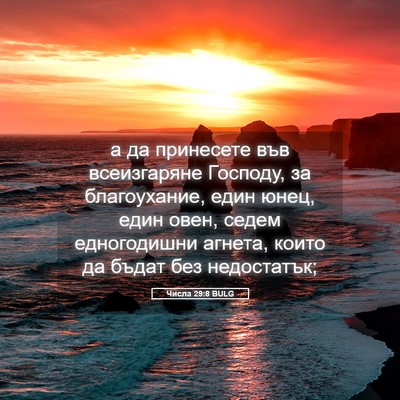 Picture 05 - Числа 29:8 BULG - а да принесете във - Bible Verse Picture