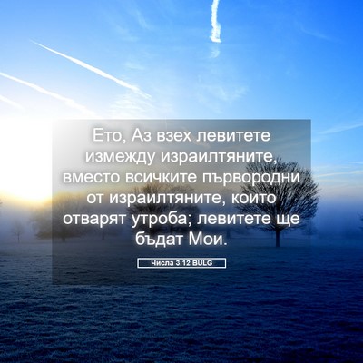 Picture 05 - Числа 3:12 BULG - Ето, Аз взех левитете - Bible Verse Picture
