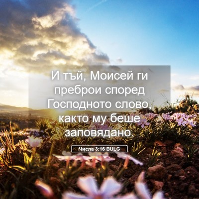 Picture 05 - Числа 3:16 BULG - И тъй, Моисей ги преброи - Bible Verse Picture
