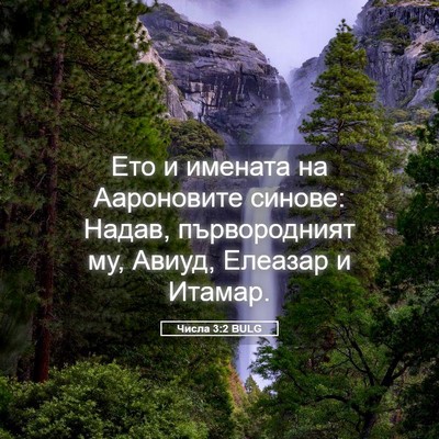Picture 05 - Числа 3:2 BULG - Ето и имената на - Bible Verse Picture