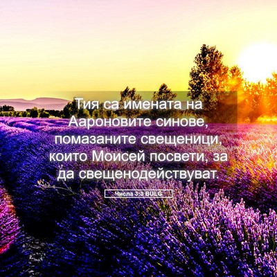 Picture 05 - Числа 3:3 BULG - Тия са имената на - Bible Verse Picture