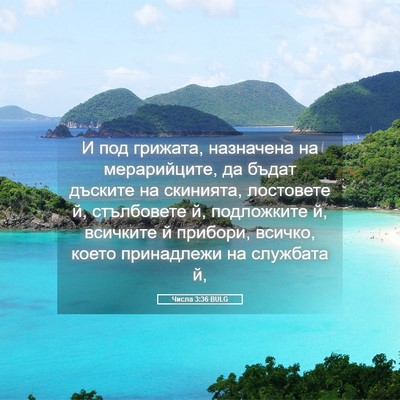 Picture 05 - Числа 3:36 BULG - И под грижата, назначена на - Bible Verse Picture