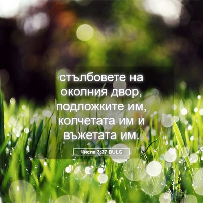 Picture 05 - Числа 3:37 BULG - стълбовете на околния - Bible Verse Picture