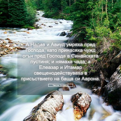Picture 05 - Числа 3:4 BULG - А Надав и Авиуд умряха пред - Bible Verse Picture