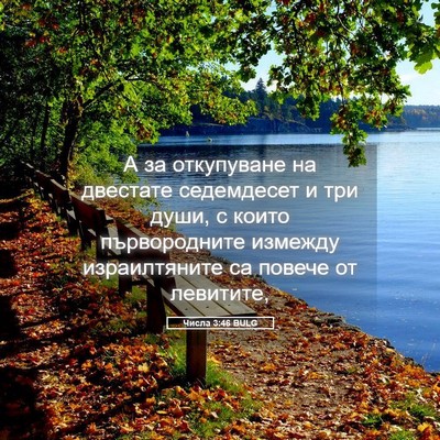 Picture 05 - Числа 3:46 BULG - А за откупуване на - Bible Verse Picture