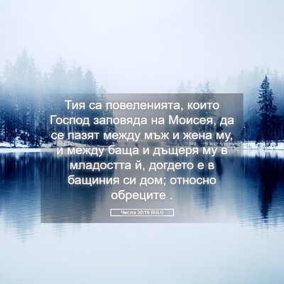 Picture 05 - Числа 30:16 BULG - Тия са повеленията, които - Bible Verse Picture
