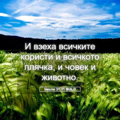Picture 05 - Числа 31:11 BULG - И взеха всичките користи и - Bible Verse Picture