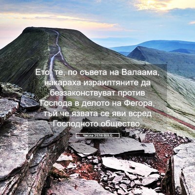 Picture 05 - Числа 31:16 BULG - Ето, те, по съвета на - Bible Verse Picture
