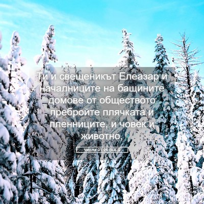 Picture 05 - Числа 31:26 BULG - Ти и свещеникът Елеазар и - Bible Verse Picture