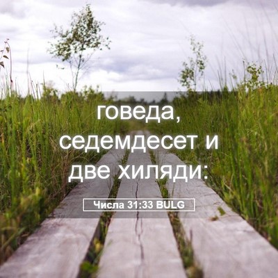 Picture 05 - Числа 31:33 BULG - говеда, седемдесет и две - Bible Verse Picture
