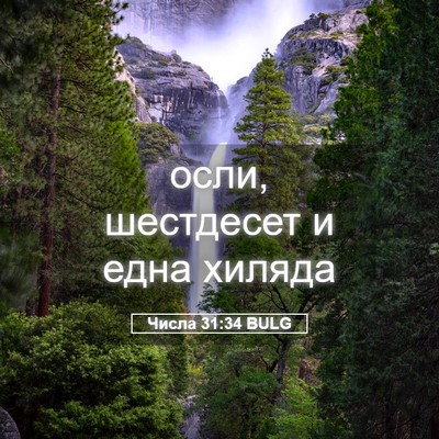 Picture 05 - Числа 31:34 BULG - осли, шестдесет и една - Bible Verse Picture