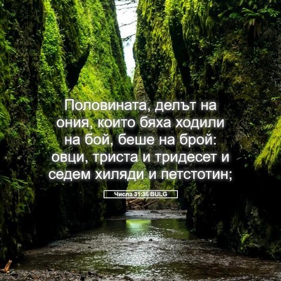 Picture 05 - Числа 31:36 BULG - Половината, делът на ония, - Bible Verse Picture