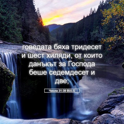 Picture 05 - Числа 31:38 BULG - говедата бяха тридесет и - Bible Verse Picture